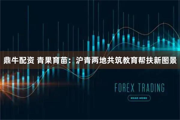 鼎牛配资 青果育苗：沪青两地共筑教育帮扶新图景