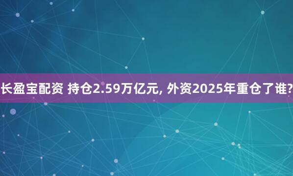 长盈宝配资 持仓2.59万亿元, 外资2025年重仓了谁?